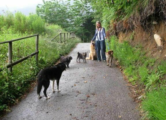 Paseíto con Caster, Estrella, Luna, Gully y Pizzetta