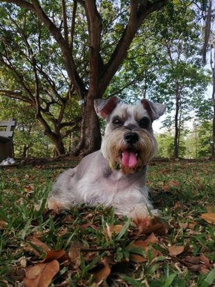 Kida disfrutando del parque