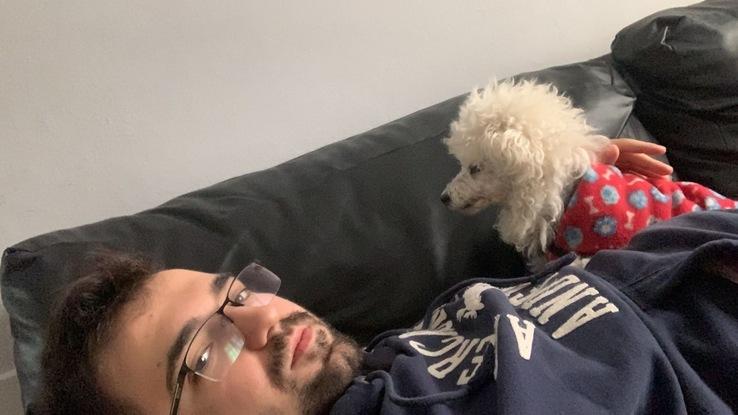 La reina de la casa