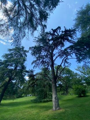 Aire libre lara correr cerca de casa