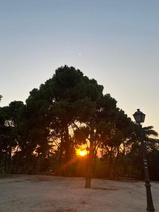 Parque para pasear cerca de casa