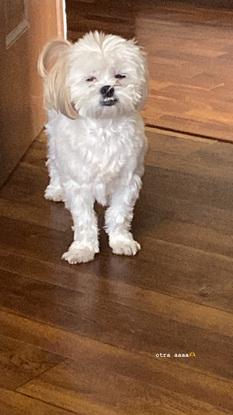 Lulu!!!