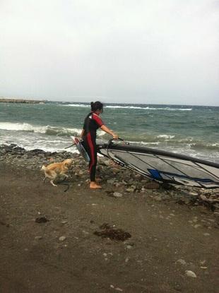 Boliche, el perro de un amigo, también quiere iniciarse en el surf.
