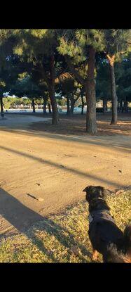 El Parc Nou