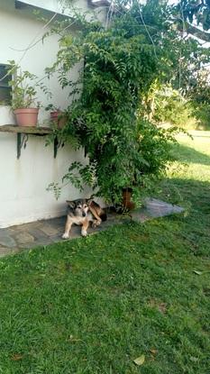 Natalia descansando bajo un árbol. 