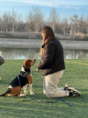 Con Boston, el perro con el que hice el curso de adiestramiento🐕‍🦺