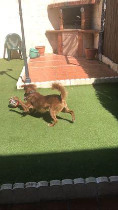Jugando!!