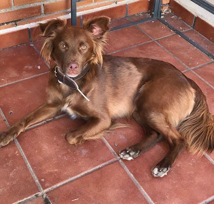 Posando para la foto!!