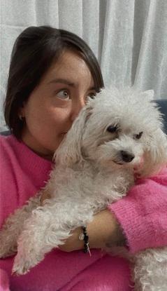 Dulce