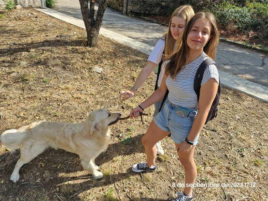 Cuidando al perro de un amigo mio
