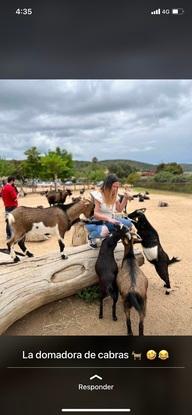 Zoo