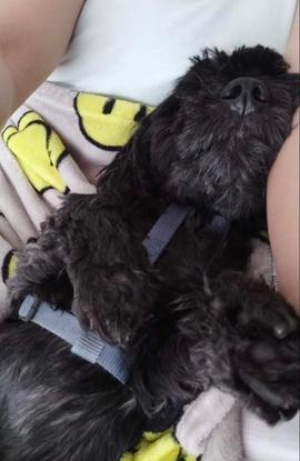 Kai