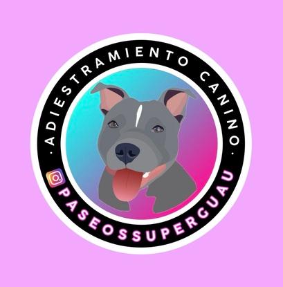 Adiestramiento canino paseos super guau