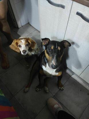 Milo con Che