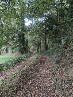 Caminos que hay a 5 min de mi casa