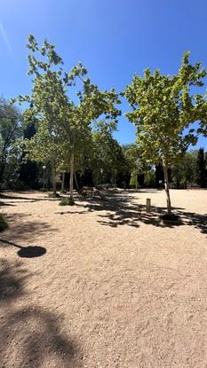 Parque Roma (cerca de casa)