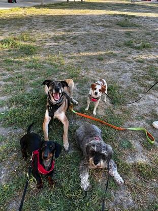 Ruta con Max, Senda y Enzo