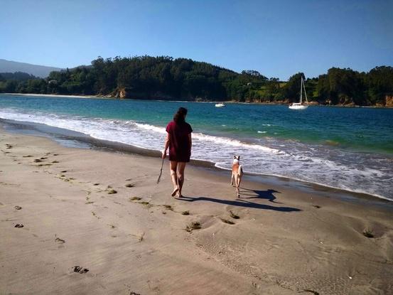 Paseos por la Costa Gallega. 