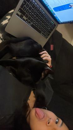 Cuidando a Nyx 🐈‍⬛