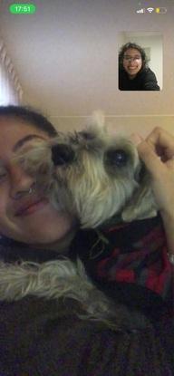 Cuidando a Mechita!