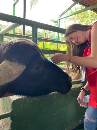 visitando la fundación  Alma viva  de animales rescatados en costa rica 