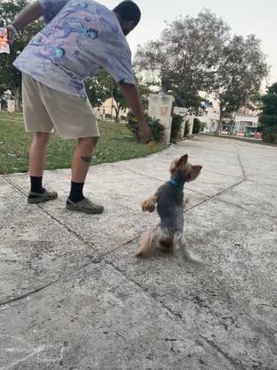 Jugando en el parque