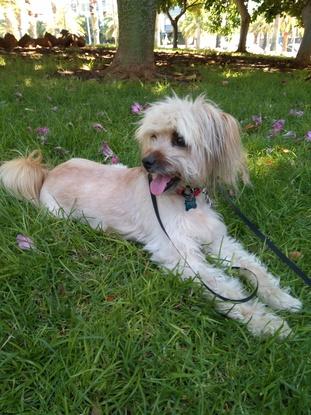 En el parque