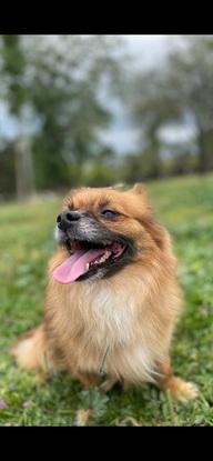 Felicidad en el parque