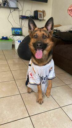 Aslan madridista