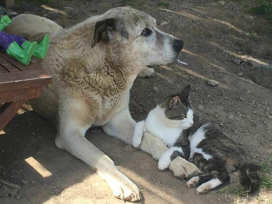 Miga y Paty