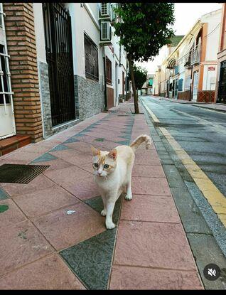 Paseando por el barrio