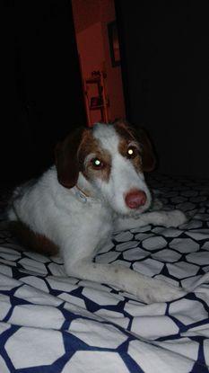 Nuestra amiga lola
