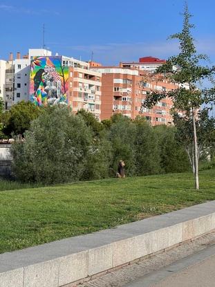 Madrid río (por aquí pasearemos)