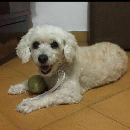Jugando con Cosita