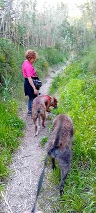 Excursion con mi perro y golgo un perro de mi amiga