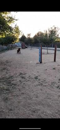 Parque vayado al lado de casa que les permite correr