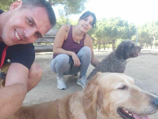 Parque canino