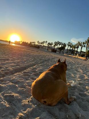 Y la playa más aún