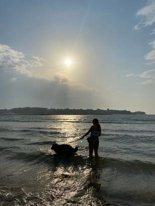 La playa donde estoy y el perro que tiene mi amiga y solemos pasear 