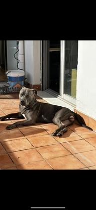 Tomando el sol en la terraza