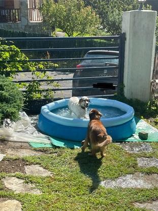 Jugando en la pisci