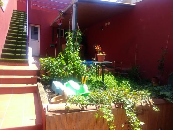Este es el patio donde pueden estar las mascotas si quieren !