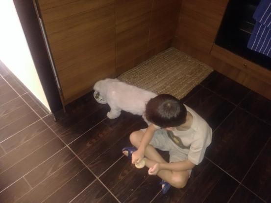 Mi hijo y mi perrita !