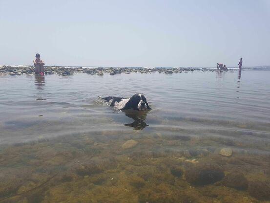 Bañito en la playa