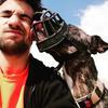 Raul: ¡Cuidador de perros en Premià de Mar! 