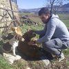 Jose: Paseador y cuidador de perros Bilbao y alrededores