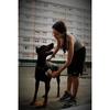 Alexia: Cuidadora de mascotas con experiencia en Gijón
