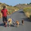 Juan Rafael: Paseador de perros en Almería