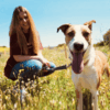 Clara: Mucho amor para tu perro en la Sierra de Madrid