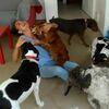 Prieto: Adaptabilidad a tus necesidades y las de tu perro!!!!
